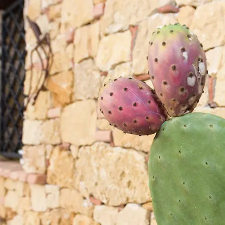 Oleandra Relais פרטיניצ'ו